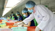 Việt Nam là nhà cung cấp hạt điều số 1 cho Mỹ