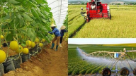 Ngành nông nghiệp phải hòa nhịp vào ngành công nghiệp 4.0