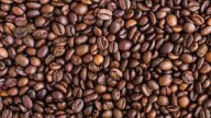 9 mặt hàng nông sản xuất khẩu đã vượt mốc 1 tỷ USD