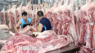 Không phải ai cũng vui vì giá heo hơi tăng