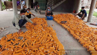 Chỉ trồng ngô nương nuôi lợn đen, anh nông dân Lai Châu thoát nghèo, có của ăn của để