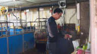 Thị trường lao động “hồi sinh” sau dịch Covid -19