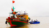 Hải Phòng quyết liệt chung tay gỡ “thẻ vàng” thủy sản