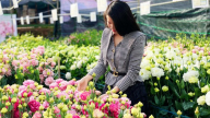 Hoa đẹp, giá không tăng ở thủ phủ Đà Lạt