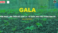 [TRỰC TIẾP] Gala 'Sâm Ngọc Linh trên đất Sơn La - Từ Quốc bảo trở thành sinh kế'