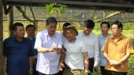 8 giờ 30 sáng nay (22/12) diễn ra Gala sâm Ngọc Linh trên đất Sơn La 