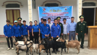 “Ngân hàng dê” giúp ĐVTN vùng cao biên giới Sơn La vươn lên thoát nghèo