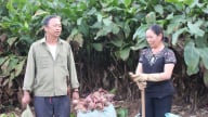 Đồng bào dân tộc Mông xã biên giới Chiềng Tương nâng cao ý thức chấp hành pháp luật