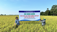 Cần quy định VietGAP trở thành tiêu chuẩn bắt buộc khi sản xuất nông sản