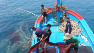 Chuyển đổi nghề, tạo sinh kế để hạn chế đánh bắt thủy sản kiểu tận diệt, Bộ NNPTNT kỳ vọng sớm gỡ thẻ vàng IUU