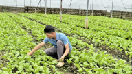 Lai Châu: Nông dân Bình Lư thi đua sản xuất, kinh doanh giỏi