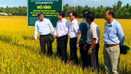Đoàn công tác Bộ Nông nghiệp và Phát triển Nông thôn làm việc tại HTX Phát Tài – mô hình sử dụng NPK Phú Mỹ