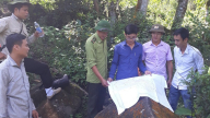 Sa Pa: Quyết liệt triển khai đồng bộ các giải pháp PCCCR mùa khô hanh