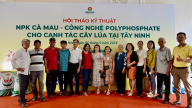 Cùng nông dân Tây Ninh nâng cao hiệu quả sản xuất với NPK Cà Mau