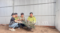 Con động vật hoang dã xuất xứ Ấn Độ ăn xoài, ổi, nuôi thành công ở Sóc Trăng, bán 1,2 triệu/con giống