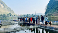 Nông dân Bắc Kạn nuôi một loài cá màu hồng theo chuẩn VietGAP, cá lớn nhanh, lãi ngay trăm triệu