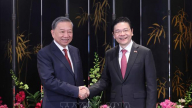 Việt Nam - Singapore nâng cấp quan hệ lên đối tác chiến lược toàn diện