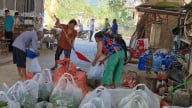 Liên kết trồng dưa chuột bao tử ở một xã của Lạng Sơn, nông dân bẻ đến đâu bán hết đến đó, thu nhập tăng