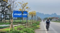 Đường hoa nông thôn mới đẹp như phim ở một xã NTM nâng cao của Ninh Bình, hoa phong linh vàng rực