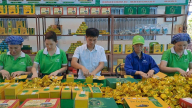 Nông dân, doanh nghiệp Thái Nguyên ứng dụng công nghệ số trong trồng chè, kinh doanh chè, làm thương hiệu