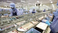 Trung Quốc tăng mua cua, mực, các loài nhuyễn thể từ Việt Nam, xuất khẩu thủy sản vụt tăng 18,2%
