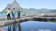 'Hốt bạc' trên hồ nhân tạo lớn nhất Tuyên Quang, dân sành ăn Hà Nội đánh cả xe tải lên tìm mua cá gì?