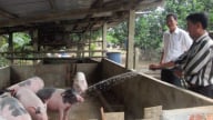 Đà Nẵng: Kiểm tra thực hiện chỉ thị số 05