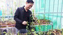 Chinh phục thành công 'nữ hoàng' của các loài hoa, một ông tỷ phú nông dân tỉnh Vĩnh Phúc có cơ ngơi bạc tỷ