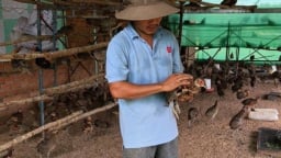 Bỏ việc ngân hàng, thanh niên về quê làm chuyện lạ đời, mở nhạc cho chim nghe, nuôi cá bống