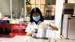 Chuyện lạ Trà Vinh: Đem thứ hạt của loài cây dại mọc vạ vật bờ kênh chế ra thứ thuốc trừ sâu 'cực ngầu'