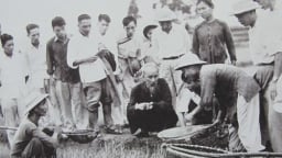 Học và làm theo Bác: Nhớ câu 'Thực túc thì binh cường'