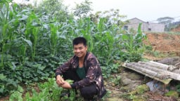 Lạng Sơn: Anh nông dân dân tộc Dao 'không sợ ma' lên núi nuôi thứ cá lạ khiến cả làng phục lăn