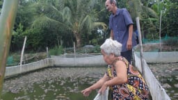 Long An: Mít Thái chung vườn với khóm, ếch chung ao với cá, nhà nông không chỉ khá mà còn đổi đời luôn