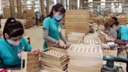 Ngành gỗ Việt Nam đối diện như thế nào trước các vụ kiện phòng vệ thương mại?
