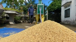 Thương mẹ già rê lúa cực quá, anh nông dân Quảng Ngãi sáng chế ra máy rê lúa vèo cái xong đống thóc to