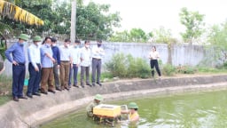 Nuôi loài cá đang hot, chợ quê chợ phố đang chuộng, nhiều người kéo đến nơi này ở Nghệ An để xem