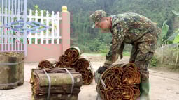 Chuyện lạ Phú Thọ, trai, gái làng này thoát ế ngoạn mục nhờ trồng thứ cây thơm 'toàn tập', có nhà thu tiền tỷ