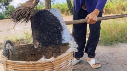 Kiên Giang: Dựng chòi nuôi dơi lấy phân, ngày nào cũng được thu tiền