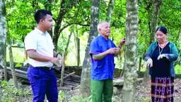 Một nông dân Quảng Trị suốt mấy chục năm 'cầm tay chỉ việc' giúp đồng bào 'chôn kho báu' trong rừng