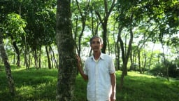 Vùng đất này ở Phú Thọ, dân bảo nhau 'chôn kho báu', nhà nào 'chôn' càng nhiều nay bất ngờ càng giàu to