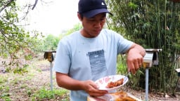 Trại nuôi ong dú độc, lạ 'nhả ra' thứ mật ai cũng muốn nếm ở Bình Châu của Bà Rịa-Vũng Tàu