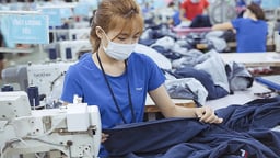 Phê duyệt Chiến lược phát triển ngành Dệt may và Da giày Việt Nam