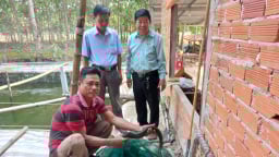 Nuôi cá chạch lấu ở một nơi của Tây Ninh, nhiều nông dân đến tham quan, học tập, ai cũng phục lăn