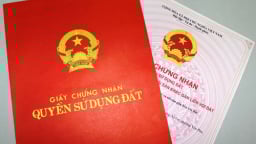'Người lạ tự vào trụ sở đóng dấu sổ đỏ', Giám đốc Văn phòng đăng ký đất đai kêu oan, nói là bị hại