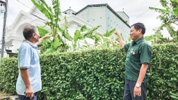 Xây nhà lầu 'nuôi chim tiền tỷ', ông nông dân Kiên Giang lấy tổ bán mà thu 1,8 tỷ/năm
