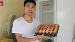 Một nông dân trẻ Nam Định nuôi gà đẻ cho thu nhập khủng, gà đẻ đến đâu, bán hết đến đó
