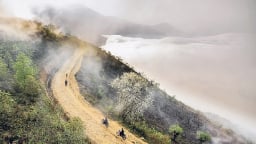 Một ngọn núi cao 2.300m ở Lào Cai, nơi có ngôi làng cao nhất Việt Nam, đó là ngọn núi nào?