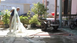 Mực nhện là con gì mà dân ở làng này của Quảng Trị bắt được tươi rói, bán tiền triệu còn ăn thoải mái?
