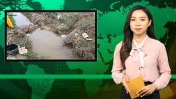 Bản tin Dân Việt Nóng 8/2: Vỏ bao bảo vệ thực vật vứt đầy kênh mương gây ô nhiễm môi trường ở Hà Tĩnh