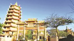 Khi bị quân nhà Tây Sơn truy đuổi, Thế tổ Cao Hoàng đế nhà Nguyễn có từng chạy ra đảo Phú Quý ở Bình Thuận?